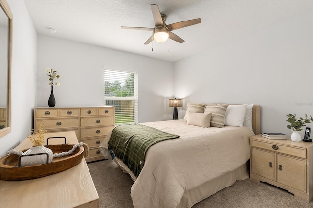 8317 NW 52nd St, Gainesville, FL 32653 - photo 17