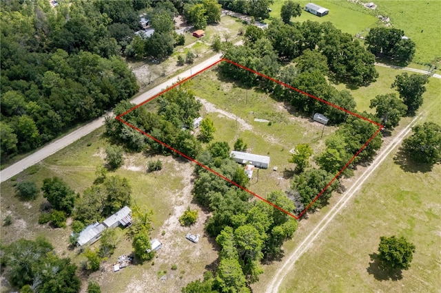 14450 NE 48th St, Williston, FL 32696 - photo 3