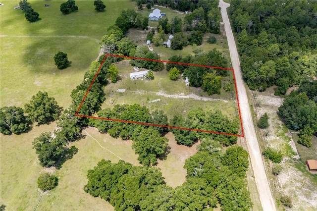 14450 NE 48th St, Williston, FL 32696 - photo 4