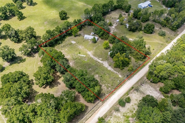 14450 NE 48th St, Williston, FL 32696 - photo 6