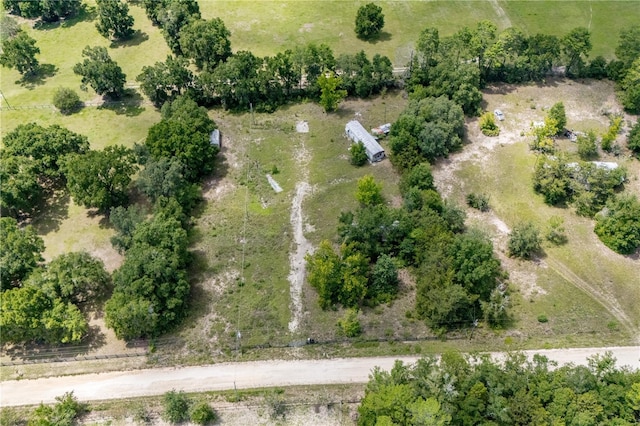 14450 NE 48th St, Williston, FL 32696 - photo 8
