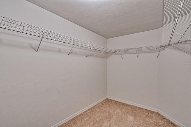 10529 NW 28th Ln, Gainesville, FL 32606 - photo 15
