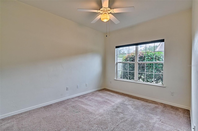 10529 NW 28th Ln, Gainesville, FL 32606 - photo 19