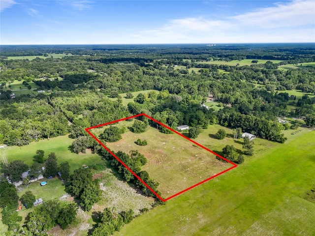 SW 175th Ave, Archer, FL 32618 - photo 3