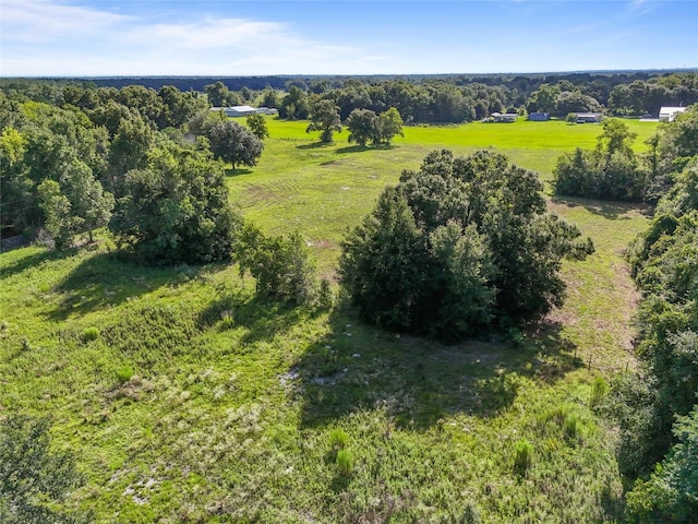 SW 175th Ave, Archer, FL 32618 - photo 5