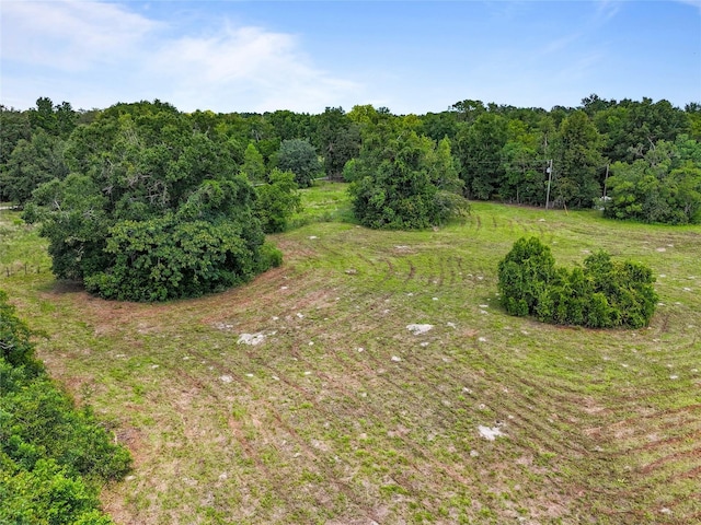 SW 175th Ave, Archer, FL 32618 - photo 12