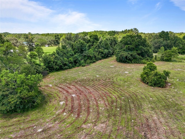 SW 175th Ave, Archer, FL 32618 - photo 14