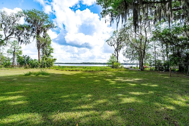 16602 NE 124th Ave, Waldo, FL 32694 - photo 9