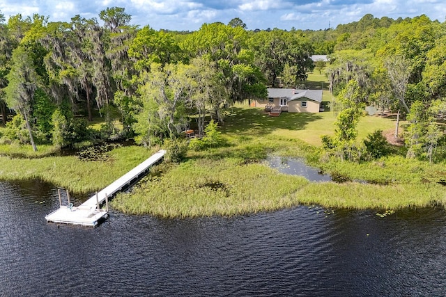 16602 NE 124th Ave, Waldo, FL 32694 - photo 14