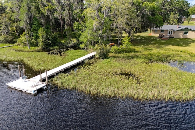 16602 NE 124th Ave, Waldo, FL 32694 - photo 15