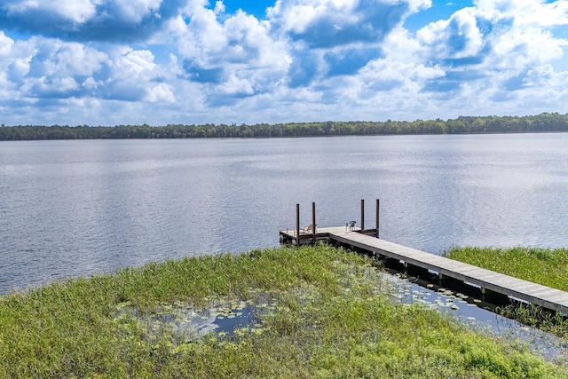 16602 NE 124th Ave, Waldo, FL 32694 - photo 18