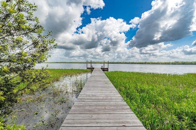 16602 NE 124th Ave, Waldo, FL 32694 - photo 26