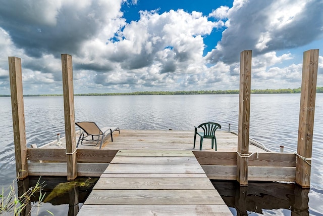 16602 NE 124th Ave, Waldo, FL 32694 - photo 27