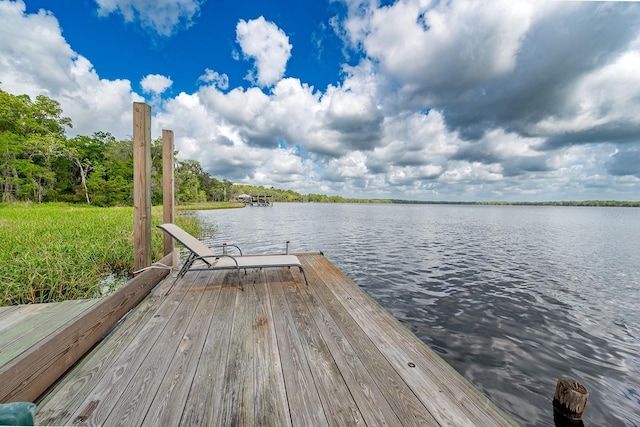 16602 NE 124th Ave, Waldo, FL 32694 - photo 28