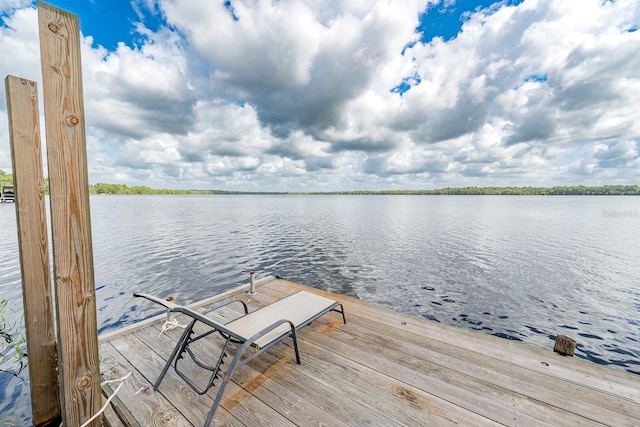 16602 NE 124th Ave, Waldo, FL 32694 - photo 29