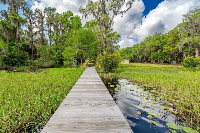 16602 NE 124th Ave, Waldo, FL 32694 - photo 30