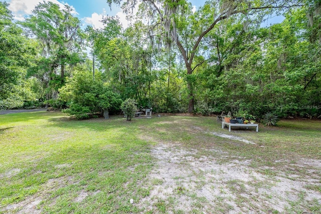 16602 NE 124th Ave, Waldo, FL 32694 - photo 31