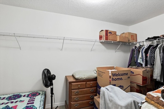 19484 NW 228th Dr, High Springs, FL 32643 - photo 22