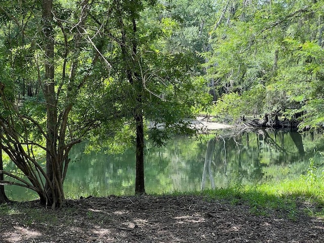 TBD NE 22nd Ct, Branford, FL 32008 - photo 23