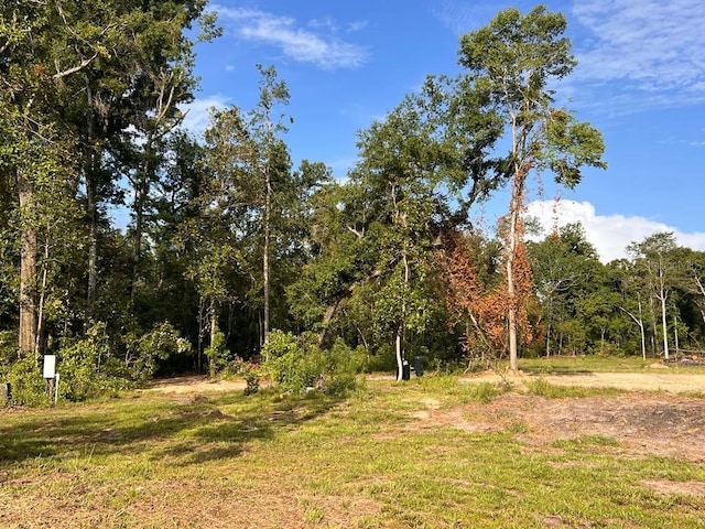 TBD NE 22nd Ct, Branford, FL 32008 - photo 25