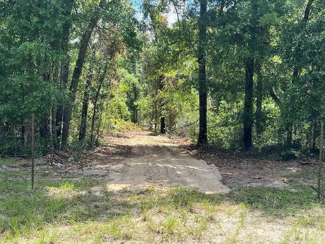 TBD NE 22nd Ct, Branford, FL 32008 - photo 27