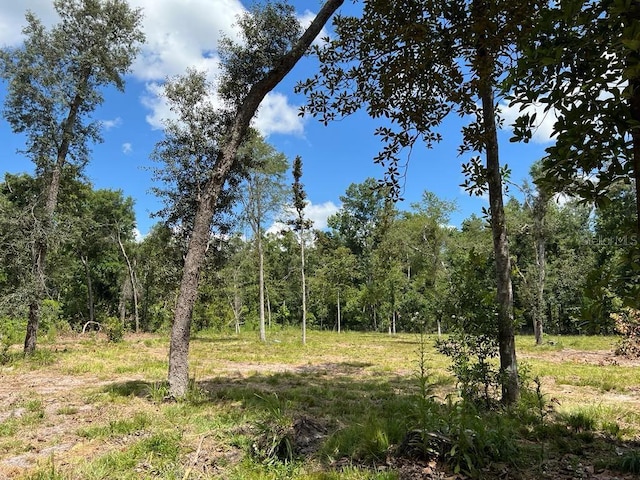 TBD NE 22nd Ct, Branford, FL 32008 - photo 33