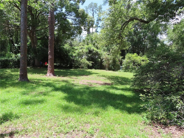 615 NW 19th Ave, Gainesville, FL 32609 - photo 17