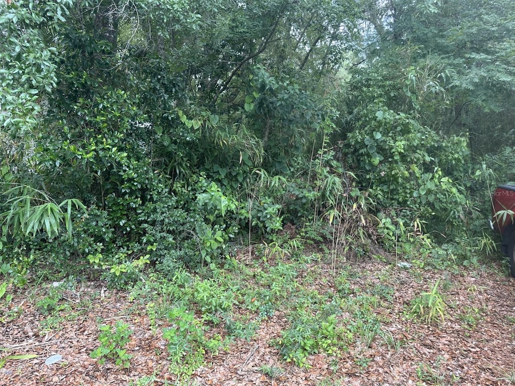 SE 4th Ave, Gainesville, FL 32641 - photo 1