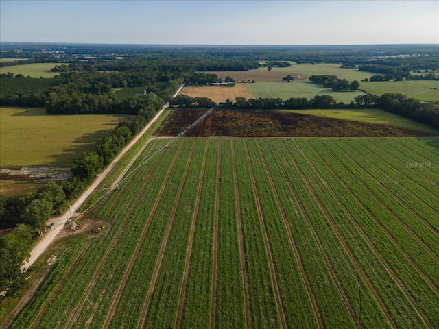 NE 150th St, Trenton, FL 32693 - photo 8