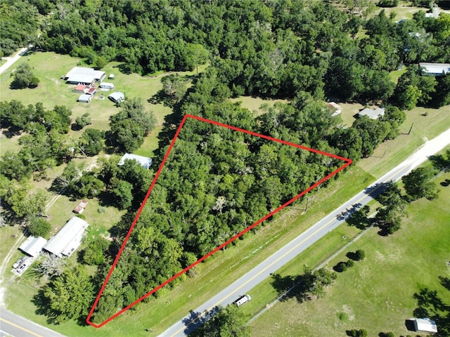 TBD NE 110th Ln, Archer, FL 32618 - photo 1