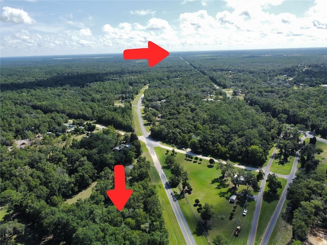 TBD NE 110th Ln, Archer, FL 32618 - photo 4