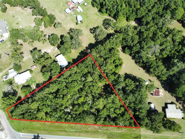 TBD NE 110th Ln, Archer, FL 32618 - photo 5