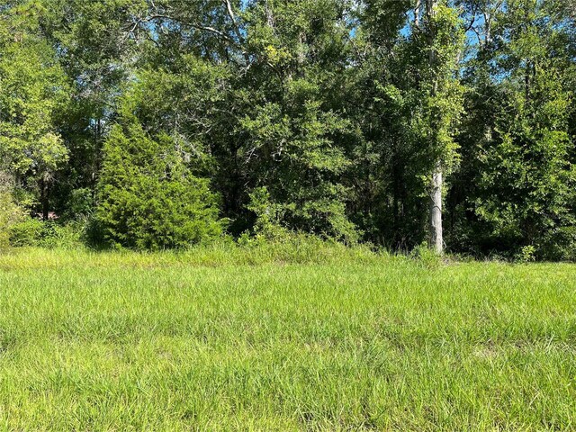 TBD NE 110th Ln, Archer, FL 32618 - photo 8