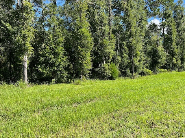 TBD NE 110th Ln, Archer, FL 32618 - photo 9