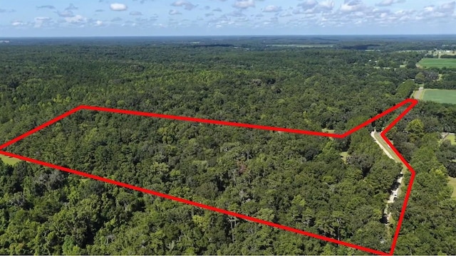 13602 NW 218th Ln, Alachua, FL 32615 - photo 1
