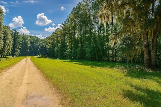 13602 NW 218th Ln, Alachua, FL 32615 - photo 3