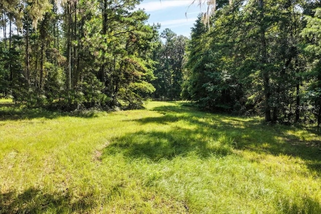 13602 NW 218th Ln, Alachua, FL 32615 - photo 5
