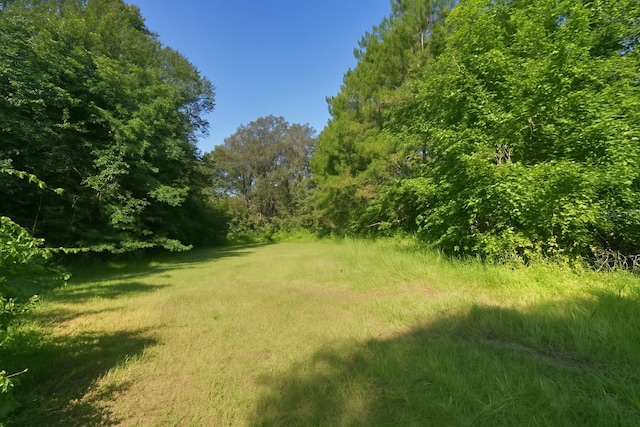 13602 NW 218th Ln, Alachua, FL 32615 - photo 6