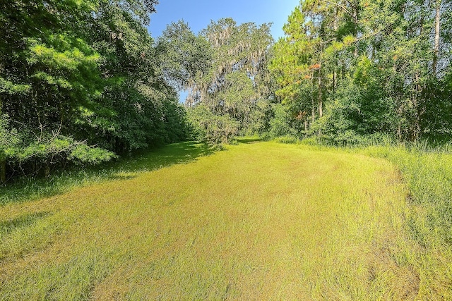 13602 NW 218th Ln, Alachua, FL 32615 - photo 7