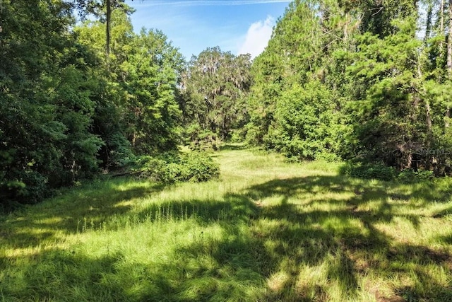 13602 NW 218th Ln, Alachua, FL 32615 - photo 9
