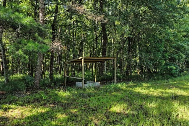 13602 NW 218th Ln, Alachua, FL 32615 - photo 10