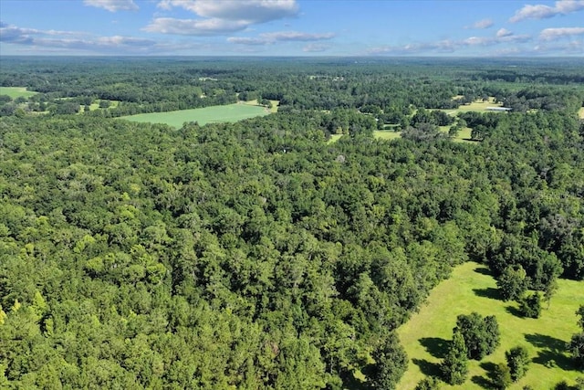 13602 NW 218th Ln, Alachua, FL 32615 - photo 20