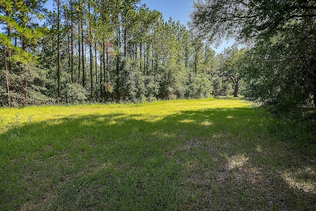 13602 NW 218th Ln, Alachua, FL 32615 - photo 12