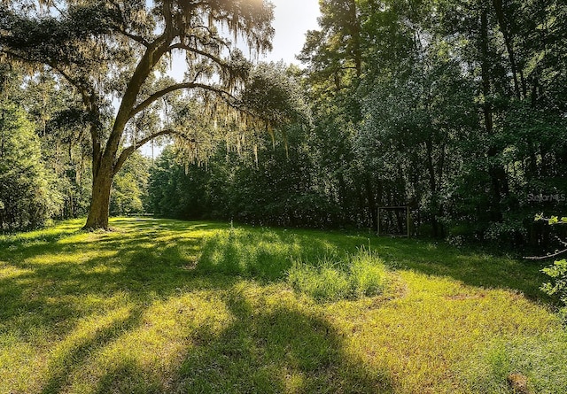 13602 NW 218th Ln, Alachua, FL 32615 - photo 4