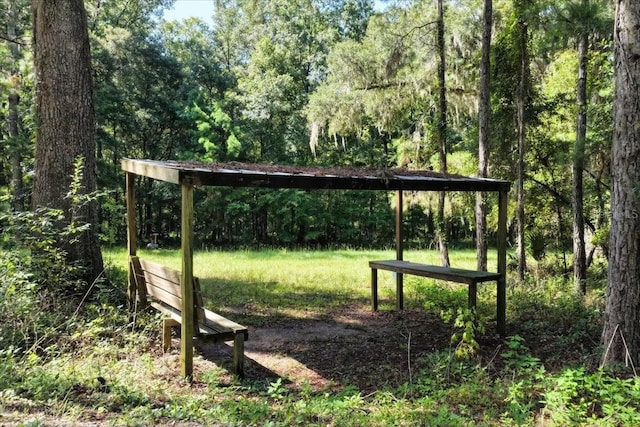 13602 NW 218th Ln, Alachua, FL 32615 - photo 11