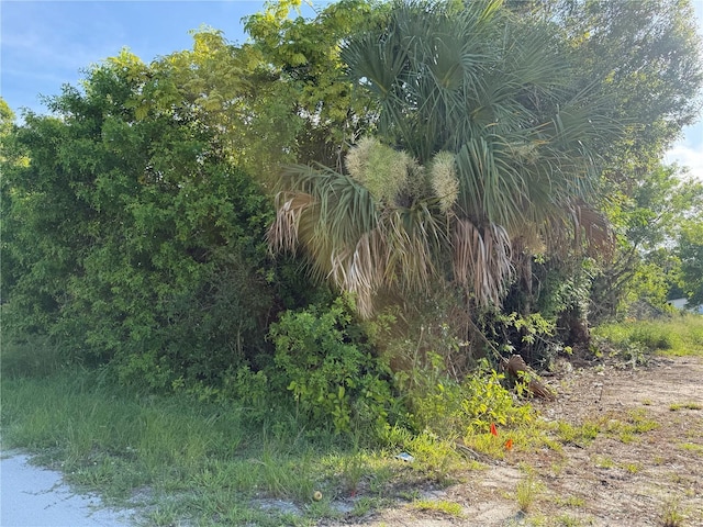 4445 31st Ave, Vero Beach, FL 32967 - photo 2