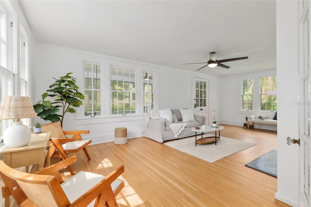 704 NE 4th St, Gainesville, FL 32601 - photo 9