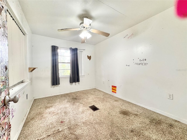 6729 NW 254th Ave, Alachua, FL 32615 - photo 31