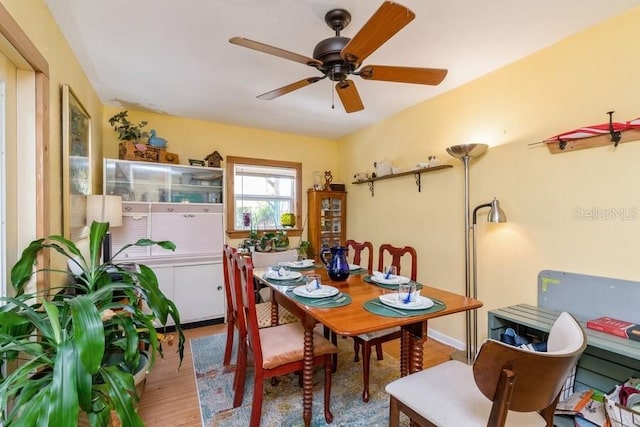 6415 NW 29th St, Gainesville, FL 32653 - photo 9
