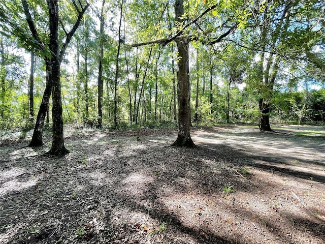 1501 NW 98th St, Gainesville, FL 32606 - photo 78